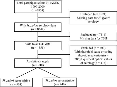 Association between Helicobacter pylori infection and serum thyroid stimulating hormone in the National Health and Nutrition Examination Survey 1999-2000